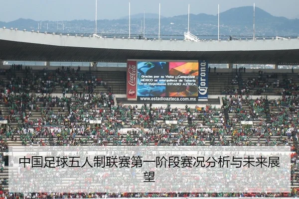 中国足球五人制联赛第一阶段赛况分析与未来展望